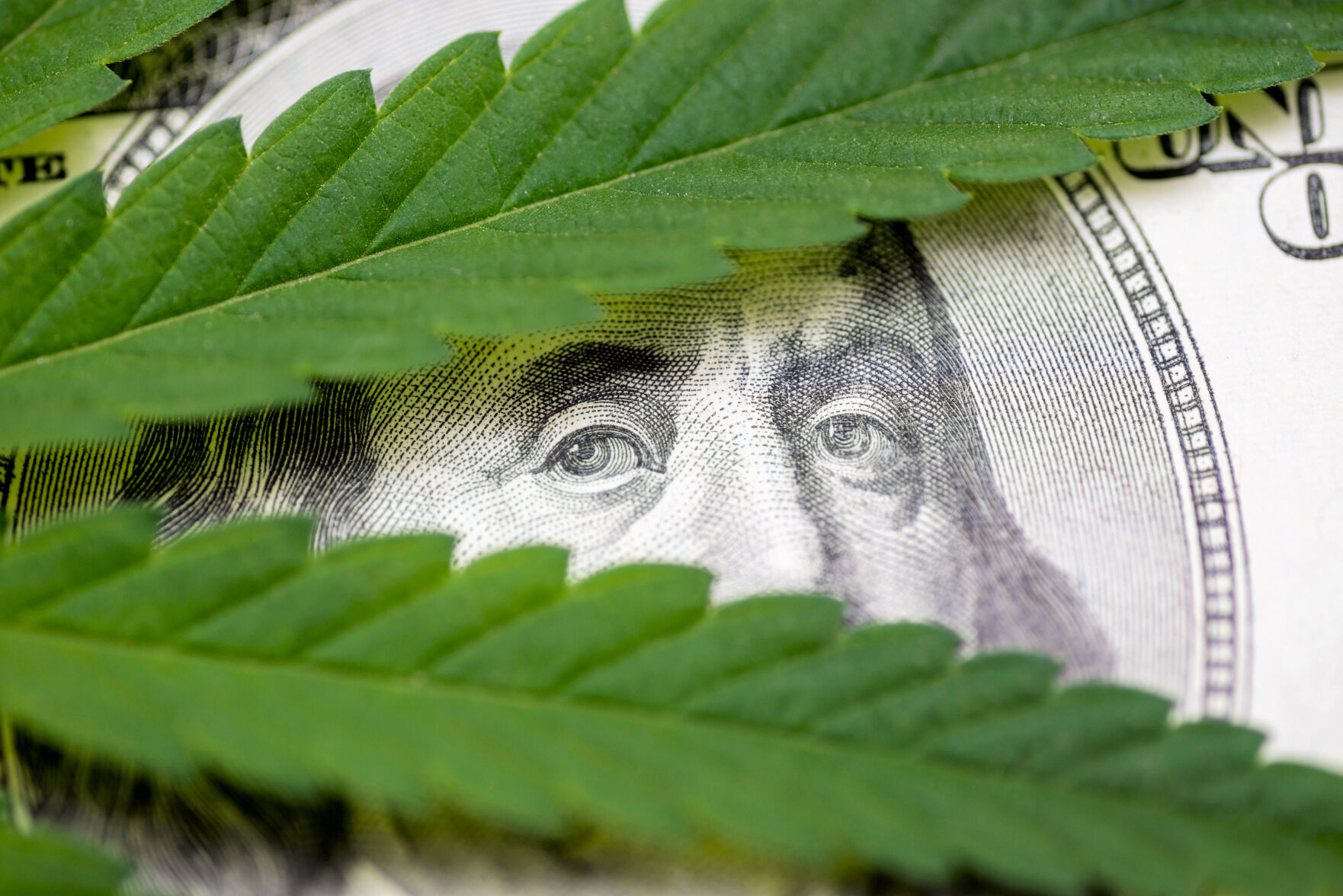 CANNABIS SALES